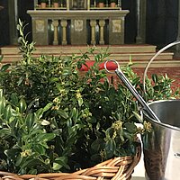 Texte zum Palmsonntag am 05.04.2020