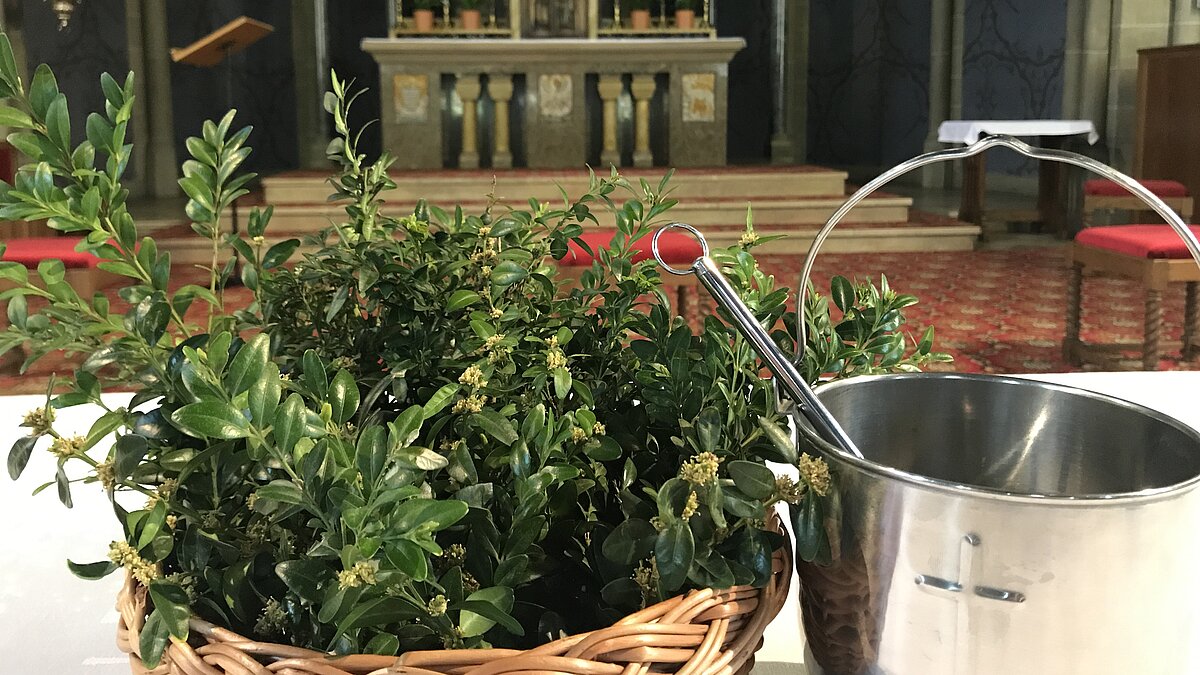 Texte zum Palmsonntag am 05.04.2020