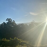Ein Licht geht uns auf!