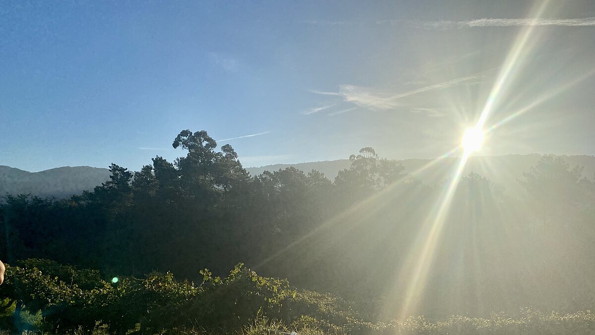 Ein Licht geht uns auf!